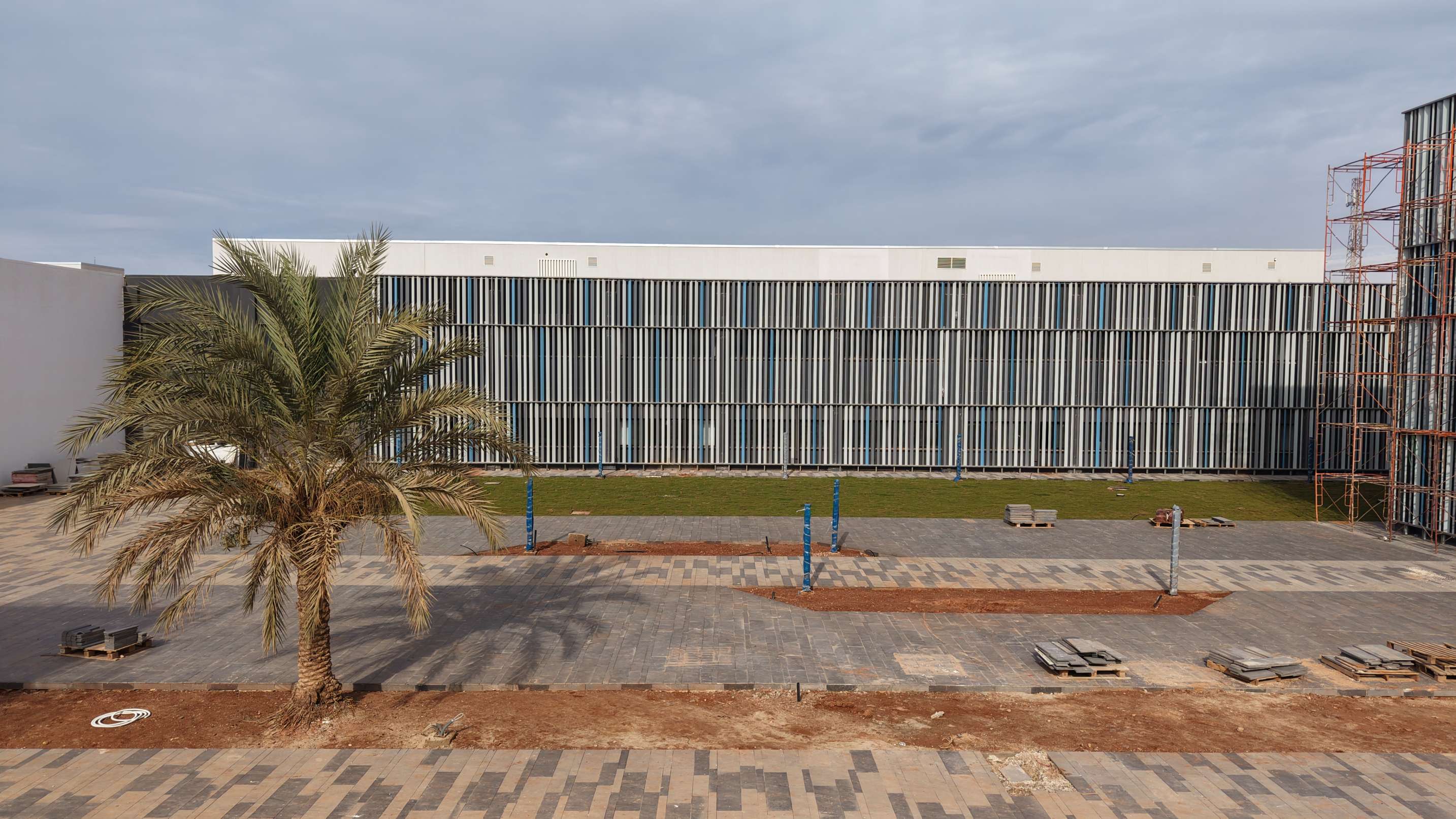 كلية العلوم