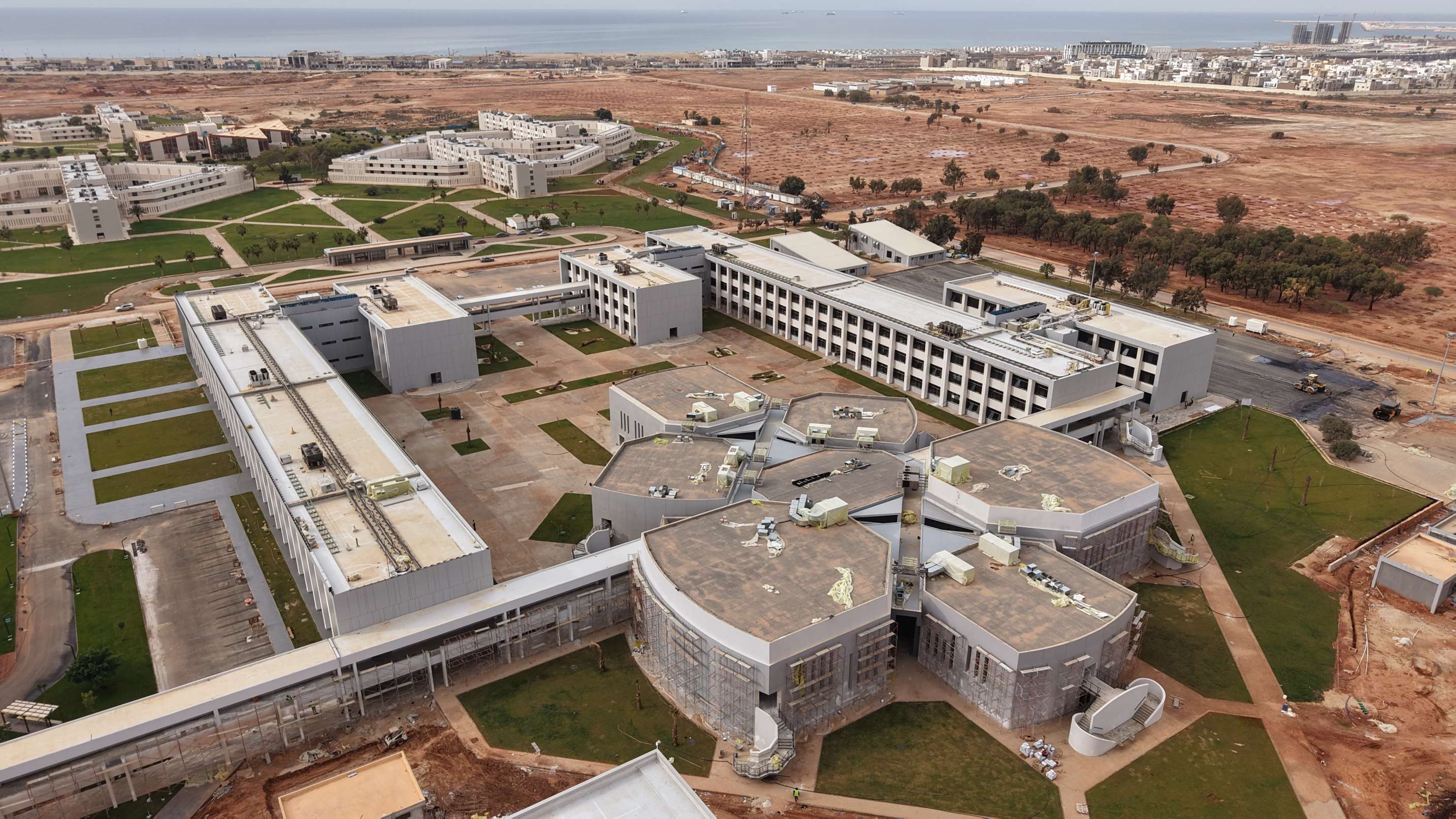 كلية الاقتصاد